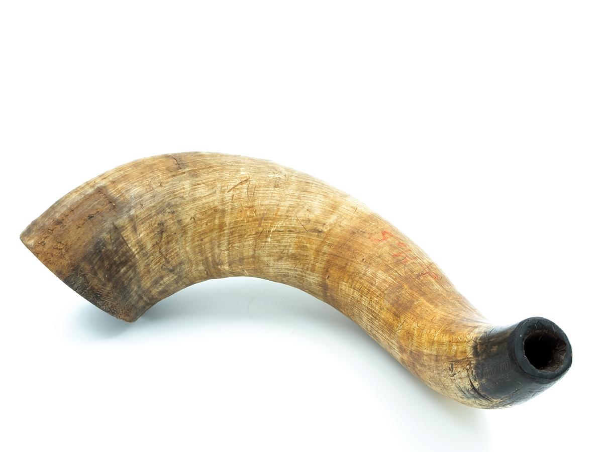 JMBA Bildumako 1660 zk. duen adar zaharra. (Arg.: O. Zapirain – Soinuenea)