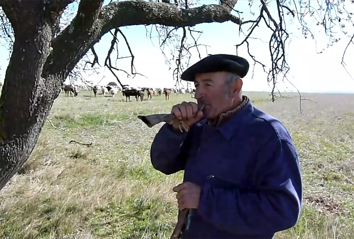 Faltzesko Javi Martinez Ciriza artzaina, berak egindako adarra jotzen. Faltzes, 2016. (Arg.: JMBA)