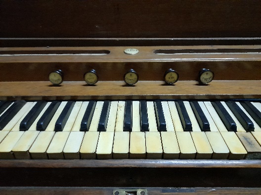 Debain harmoniuma. Oiartzun. (Arg.: A. Mendizabal)