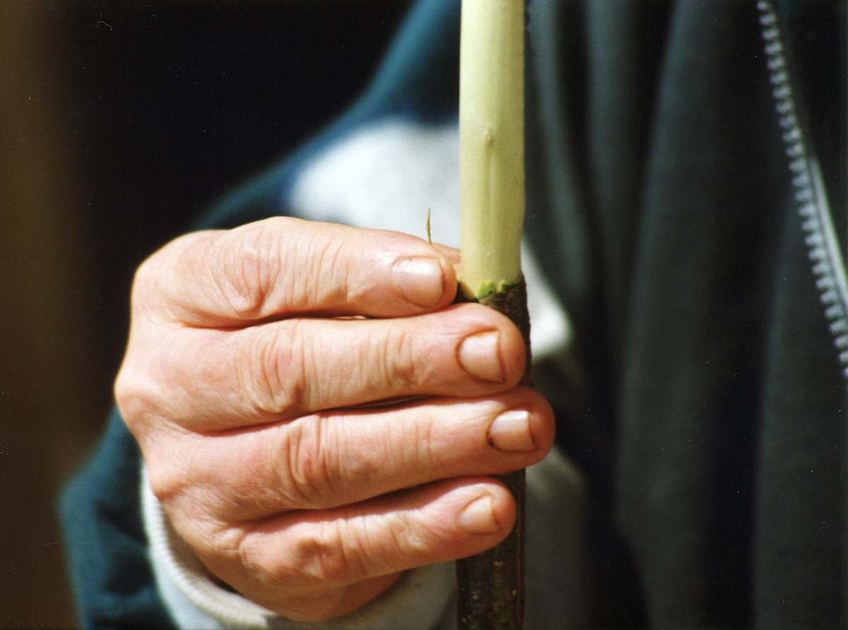 Periko Garaikoetxea hurritz ziria zuritzen. Iribas, 1999. (Arg.: JMBA)